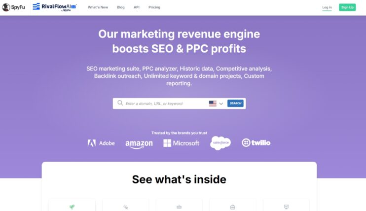 SpyFu alat, prikaz sajta